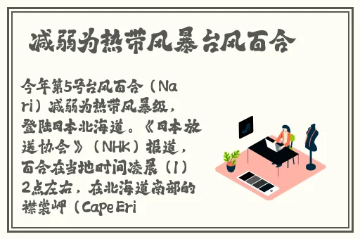久久精品亚洲国产AV麻豆